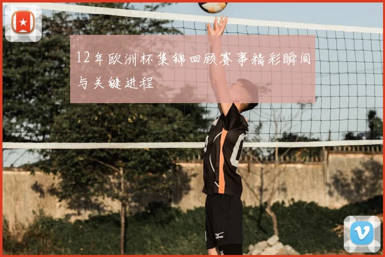 12年欧洲杯集锦回顾赛事精彩瞬间与关键进程