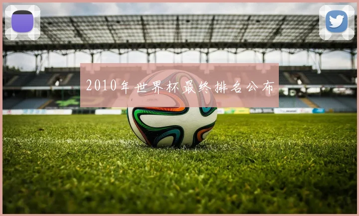 2010年世界杯最终排名公布
